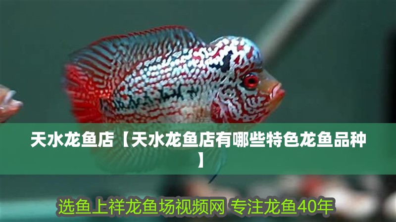 天水龍魚店【天水龍魚店有哪些特色龍魚品種】