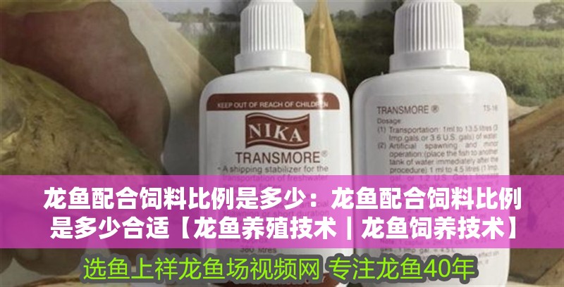 龍魚配合飼料比例是多少：龍魚配合飼料比例是多少合適【龍魚養殖技術｜龍魚飼養技術】