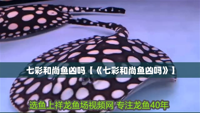 七彩和尚魚兇嗎【《七彩和尚魚兇嗎》】