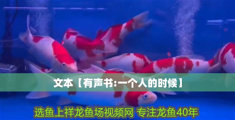 文本【有聲書:一個人的時候】