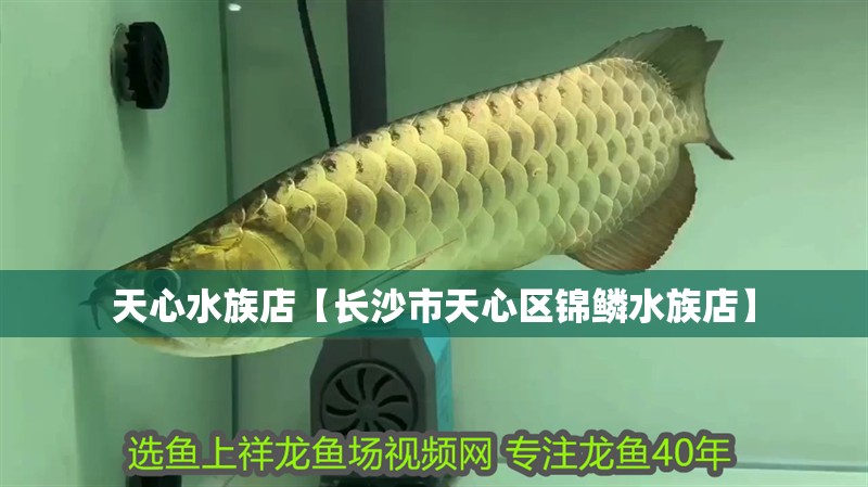 天心水族店【長<strong><mark>沙市</mark></strong>天心區(qū)錦鱗水族店】