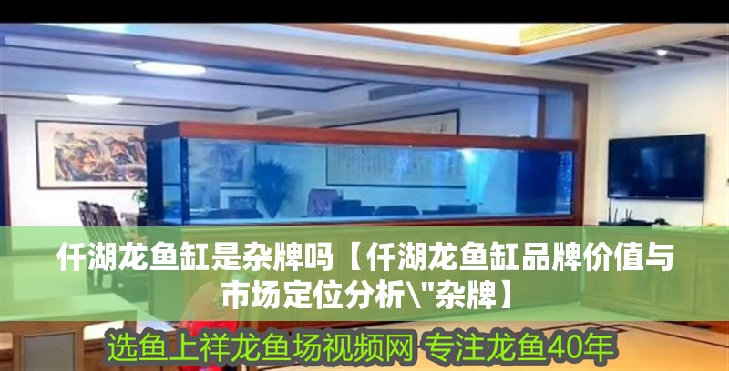 仟湖龍魚缸是雜牌嗎【仟湖龍魚缸品牌價值與市場定位分析\