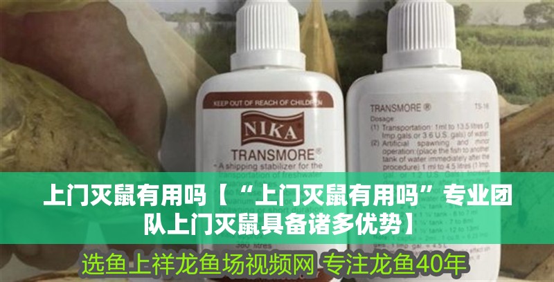 上門滅鼠有用嗎【“上門滅鼠有用嗎”專業團隊上門滅鼠具備諸多優勢】
