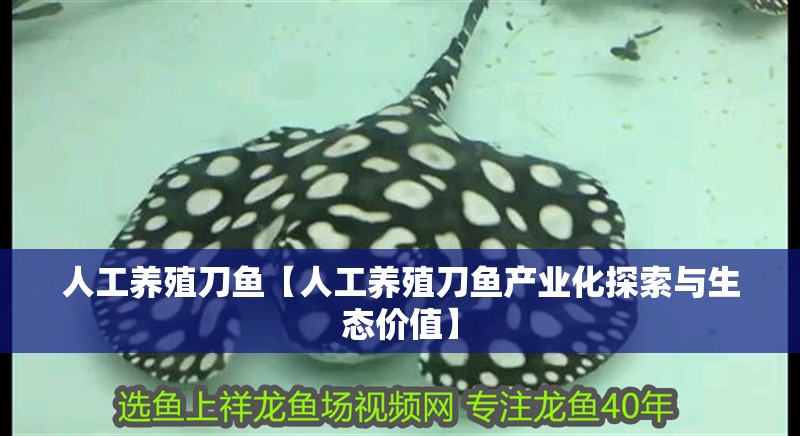 人工養殖刀魚【人工養殖刀魚產業化探索與生態價值】