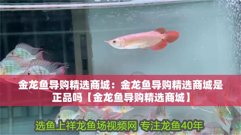 金龍魚導購精選商城:金龍魚導購精選商城是正品嗎【金龍魚導購精選商城】 水族問答 金龍魚導購精選商城:金龍魚導購精選商城是正品嗎【金龍魚導購精選商城】 金龍魚導購精選商城:金龍魚導購精選商城是正品嗎【金龍魚導購精選商城】 水族問答