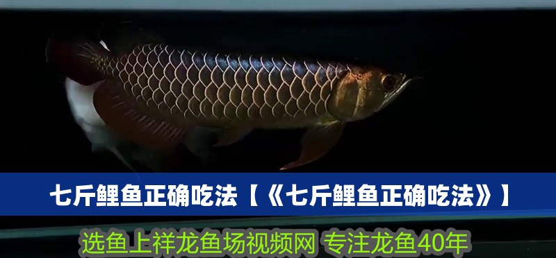 七斤鯉魚正確吃法【《七斤鯉魚正確吃法》】