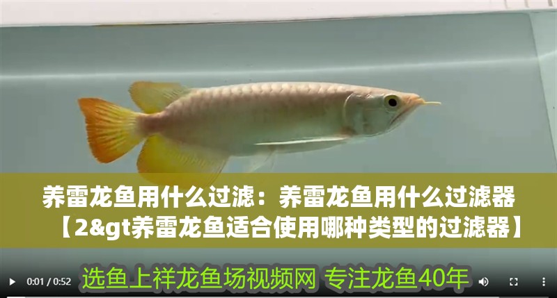 養(yǎng)雷龍魚用什么過濾：養(yǎng)雷龍魚用什么過濾器【2&gt養(yǎng)雷龍魚適合使用哪種類型的過濾器】 養(yǎng)雷龍魚用什么過濾：養(yǎng)雷龍魚用什么過濾器【2&gt養(yǎng)雷龍魚適合使用哪種類型的過濾器】 水族問答