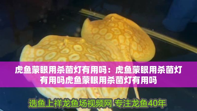 虎魚蒙眼用殺菌燈有用嗎：虎魚蒙眼用殺菌燈有用嗎虎魚蒙眼用殺菌燈有用嗎