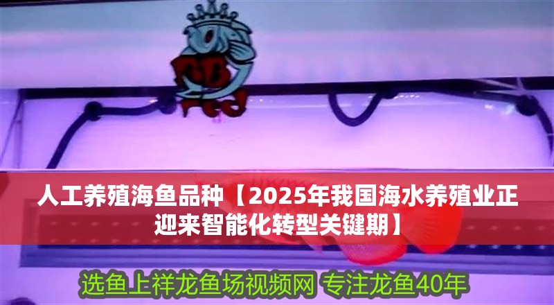 人工養殖海魚品種【2025年我國海水養殖業正迎來智能化轉型關鍵期】