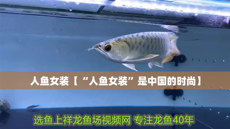 人魚女裝【“人魚女裝”是中國的時尚】
