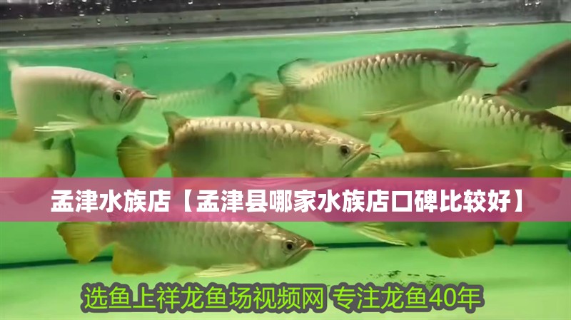 <strong><mark>孟津</mark></strong>水族店【<strong><mark>孟津</mark></strong>縣哪家水族店口碑比較好】