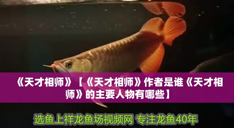 《天才相師》【《天才相師》作者是誰《天才相師》的主要人物有哪些】 《天才相師》【《天才相師》作者是誰《天才相師》的主要人物有哪些】 龍魚論壇