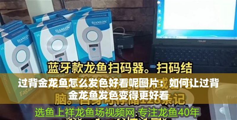 過背金龍魚怎么發色好看呢圖片：如何讓過背金龍魚發色變得更好看