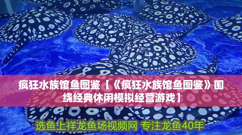 瘋狂水族館魚圖鑒【《瘋狂水族館魚圖鑒》圍繞經典休閑模擬經營游戲】 瘋狂水族館魚圖鑒【《瘋狂水族館魚圖鑒》圍繞經典休閑模擬經營游戲】 龍魚論壇