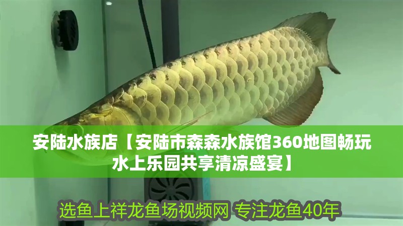 安陸水族店【安陸市森森水族館360地圖暢玩水上樂園共享清涼盛宴】