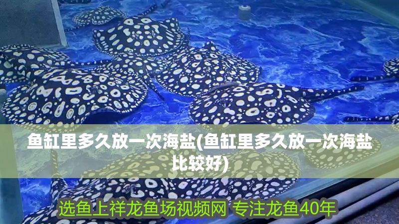 魚缸里多久放一次海鹽(魚缸里多久放一次海鹽比較好)