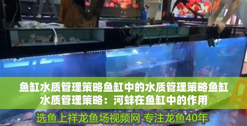 魚(yú)缸水質(zhì)管理策略魚(yú)缸中的水質(zhì)管理策略魚(yú)缸水質(zhì)管理策略：河蚌在魚(yú)缸中的作用