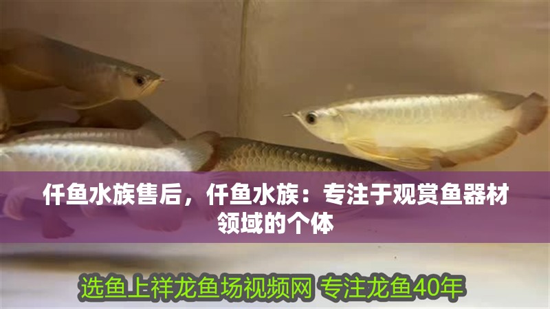 仟魚(yú)水族售后,仟魚(yú)水族:專注于觀賞魚(yú)器材領(lǐng)域的個(gè)體 龍魚(yú)論壇 仟魚(yú)水族售后,仟魚(yú)水族:專注于觀賞魚(yú)器材領(lǐng)域的個(gè)體 仟魚(yú)水族售后,仟魚(yú)水族:專注于觀賞魚(yú)器材領(lǐng)域的個(gè)體 龍魚(yú)論壇