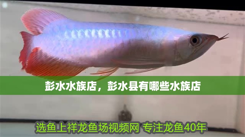 彭水水族店，彭水縣有哪些水族店