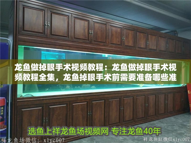 龍魚做掉眼手術視頻教程：龍魚做掉眼手術視頻教程全集，龍魚掉眼手術前需要準備哪些準備工作，龍魚掉眼手術前需要準備