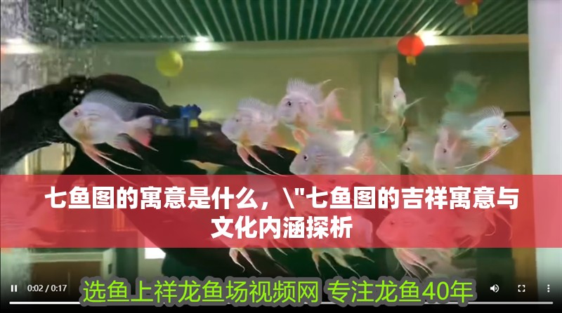 七魚圖的寓意是什么，\
