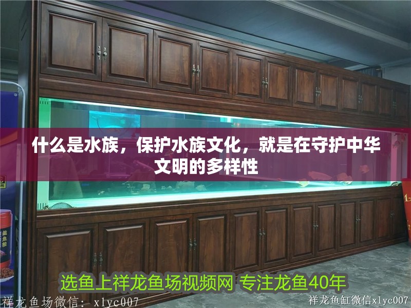 什么是水族，保護(hù)水族文化，就是在守護(hù)中華文明的多樣性