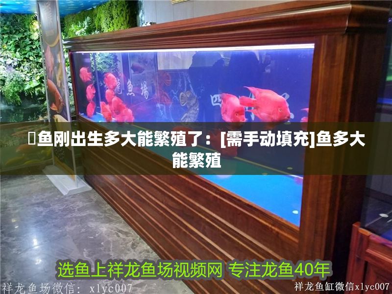 魟魚剛出生多大能繁殖了：[需手動填充]魚多大能繁殖