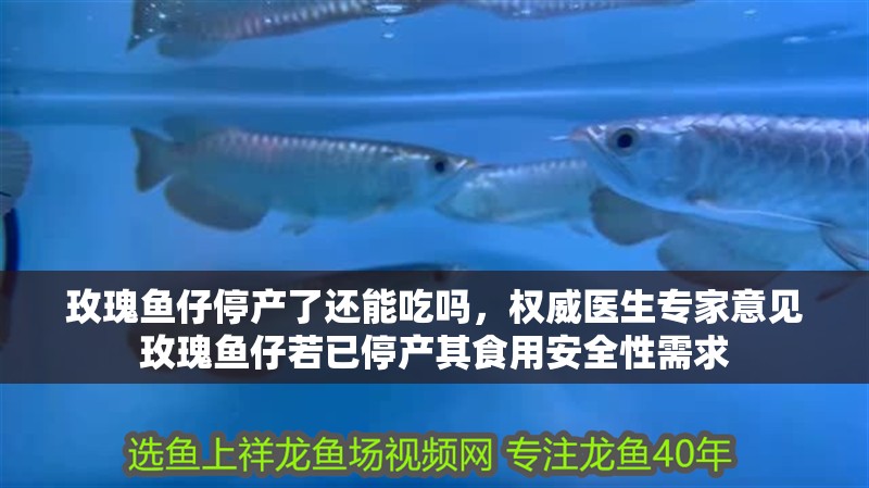 玫瑰魚仔停產了還能吃嗎，權威醫生專家意見玫瑰魚仔若已停產其食用安全性需求