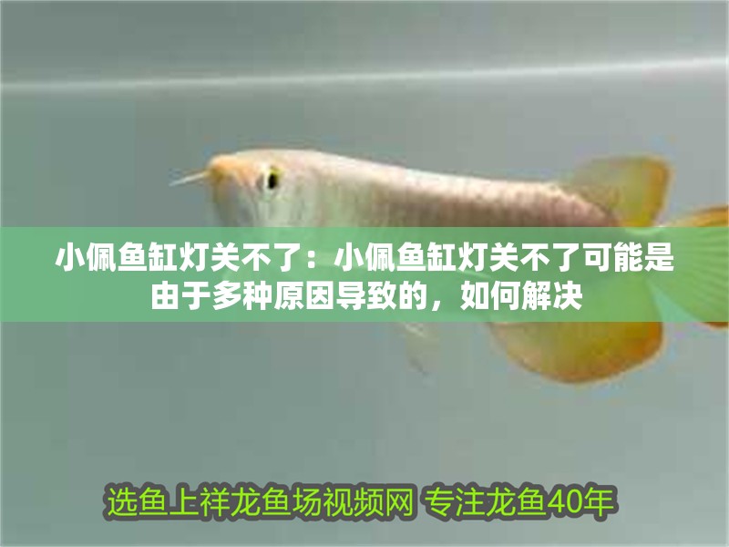 小佩魚缸燈關不了：小佩魚缸燈關不了可能是由于多種原因導致的，如何解決