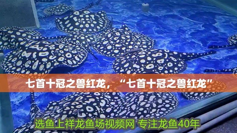 七首十冠之獸紅龍，“七首十冠之獸紅龍”