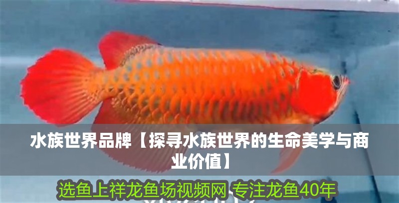 水族世界品牌【探尋水族世界的生命美學(xué)與商業(yè)價值】