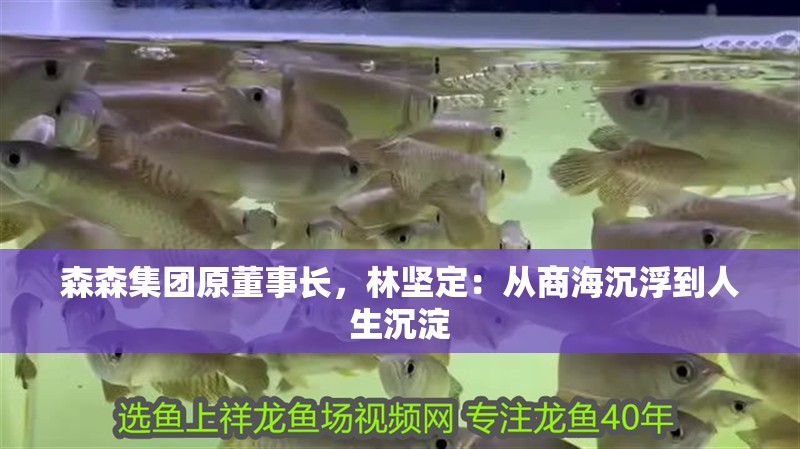 森森集團原董事長，林堅定：從商海沉浮到人生沉淀