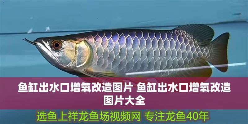 魚缸出水口增氧改造圖片 魚缸出水口增氧改造圖片大全