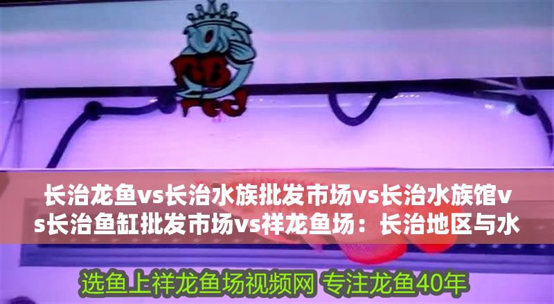 長治龍魚vs長治水族批發市場vs長治水族館vs長治魚缸批發市場vs祥龍魚場：長治地區與水族產業相關的幾個關鍵場所 長治龍魚vs長治水族批發市場vs長治水族館vs長治魚缸批發市場vs祥龍魚場：長治地區與水族產業相關的幾個關鍵場所 祥龍魚場各市分站 第2張