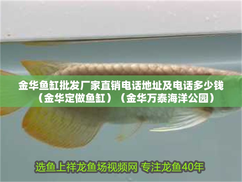 金華魚缸批發廠家直銷電話地址及電話多少錢（金華定做魚缸）（金華萬泰海洋公園）