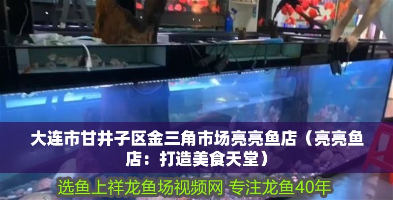 大連市甘井子區金三角市場亮亮魚店（亮亮魚店：打造美食天堂）