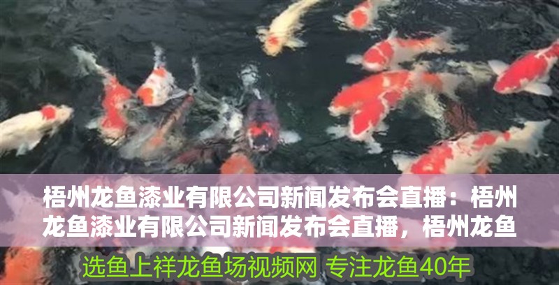 梧州龍魚漆業(yè)有限公司新聞發(fā)布會直播：梧州龍魚漆業(yè)有限公司新聞發(fā)布會直播，梧州龍魚漆業(yè)新聞發(fā)布會