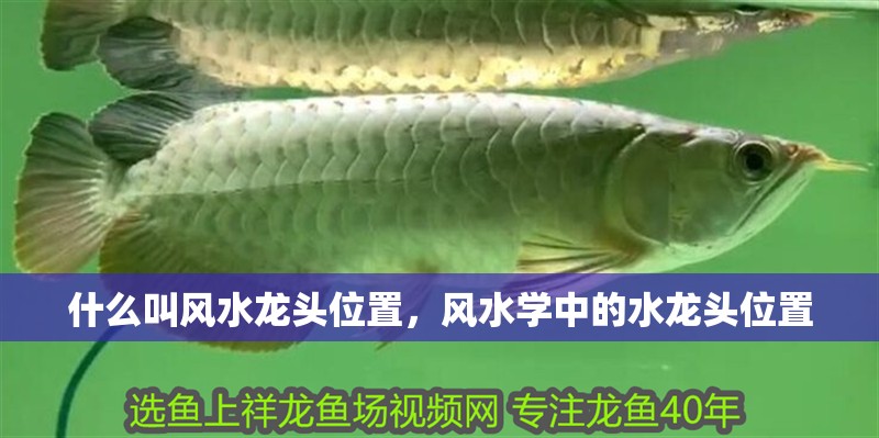 什么叫風(fēng)水龍頭位置，風(fēng)水學(xué)中的水龍頭位置