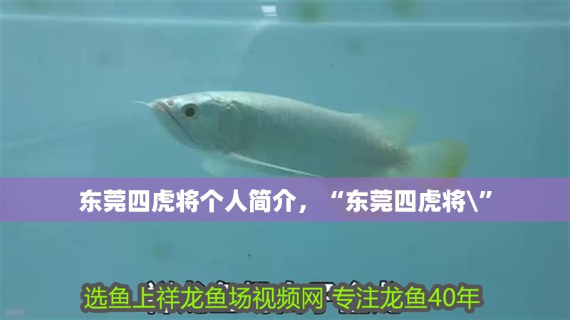 東莞四虎將個人簡介，“東莞四虎將\”