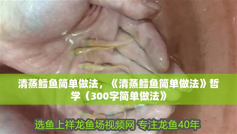 清蒸鱈魚簡單做法，《清蒸鱈魚簡單做法》哲學（300字簡單做法》