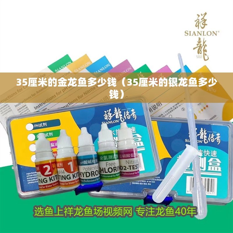 35厘米的金龍魚多少錢（35厘米的銀龍魚多少錢）