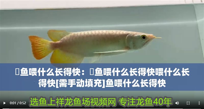 魟魚喂什么長得快：魟魚喂什么長得快喂什么長得快[需手動填充]魚喂什么長得快 魟魚喂什么長得快：魟魚喂什么長得快喂什么長得快[需手動填充]魚喂什么長得快 魟魚百科 第2張