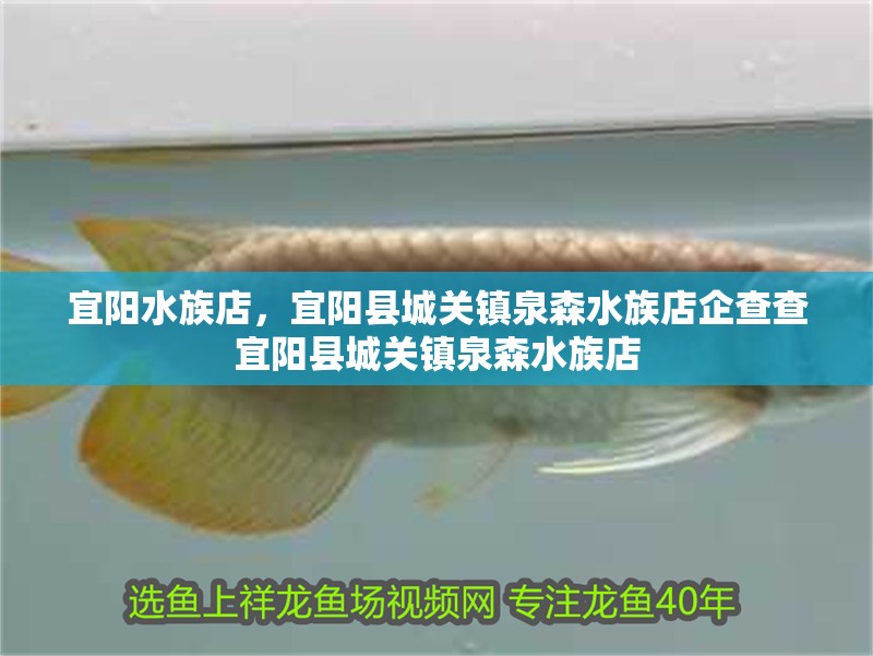 宜陽水族店，宜陽縣城關鎮(zhèn)泉森水族店企查查宜陽縣城關鎮(zhèn)泉森水族店