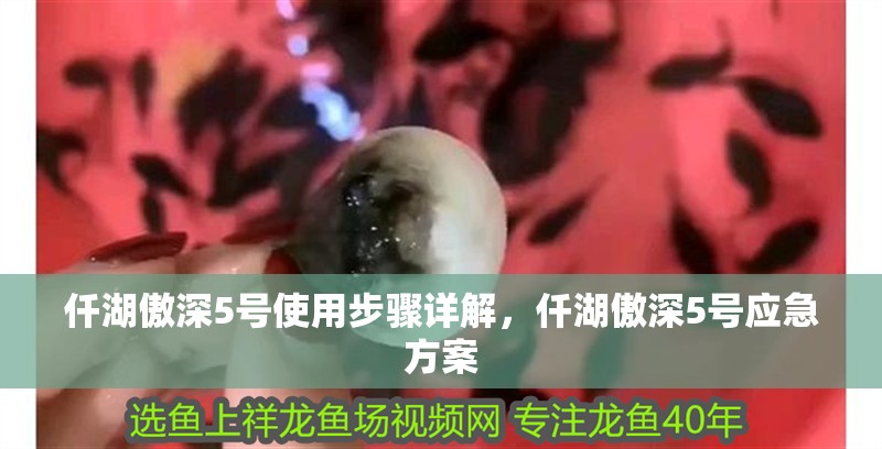 仟湖傲深5號使用步驟詳解，仟湖傲深5號應急方案