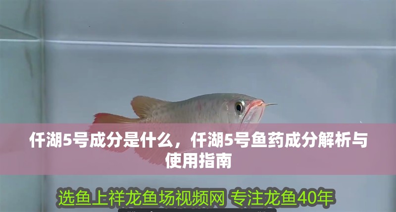 仟湖5號(hào)成分是什么，仟湖5號(hào)魚藥成分解析與使用指南 仟湖5號(hào)成分是什么，仟湖5號(hào)魚藥成分解析與使用指南 龍魚論壇