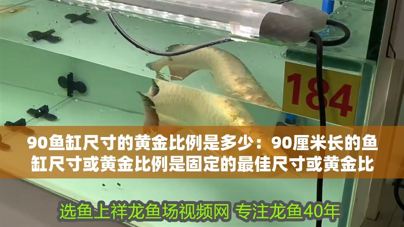90魚缸尺寸的黃金比例是多少：90厘米長(zhǎng)的魚缸尺寸或黃金比例是固定的最佳尺寸或黃金比例