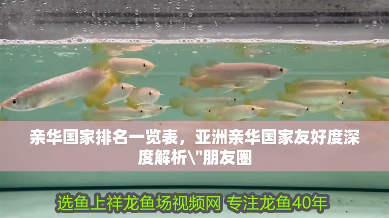 親華國家排名一覽表，亞洲親華國家友好度深度解析\