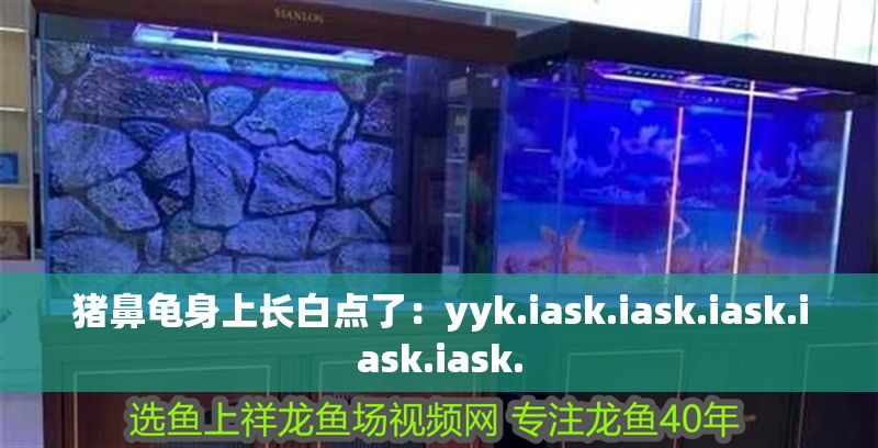 豬鼻龜身上長(zhǎng)白點(diǎn)了：yyk.iask.iask.iask.iask.iask.
