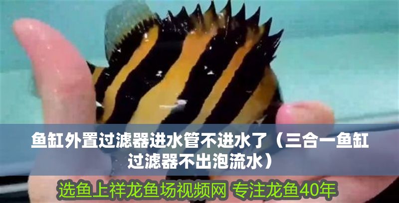 魚缸外置過濾器進(jìn)水管不進(jìn)水了（三合一魚缸過濾器不出泡流水）