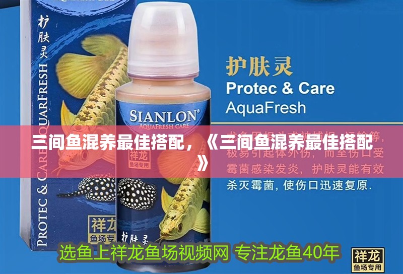 三間魚混養最佳搭配，《三間魚混養最佳搭配》